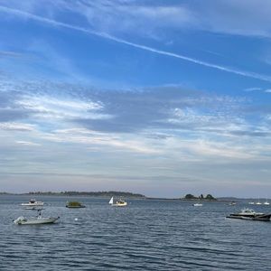 Meet your Posher, Zoe